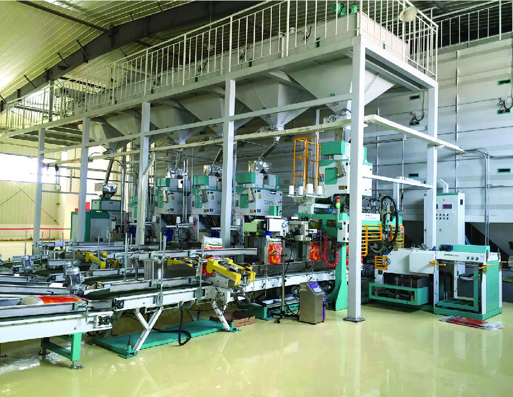 Automatica in-out warehouse conveying system
